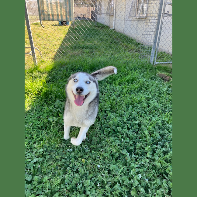 Photo of Pippa