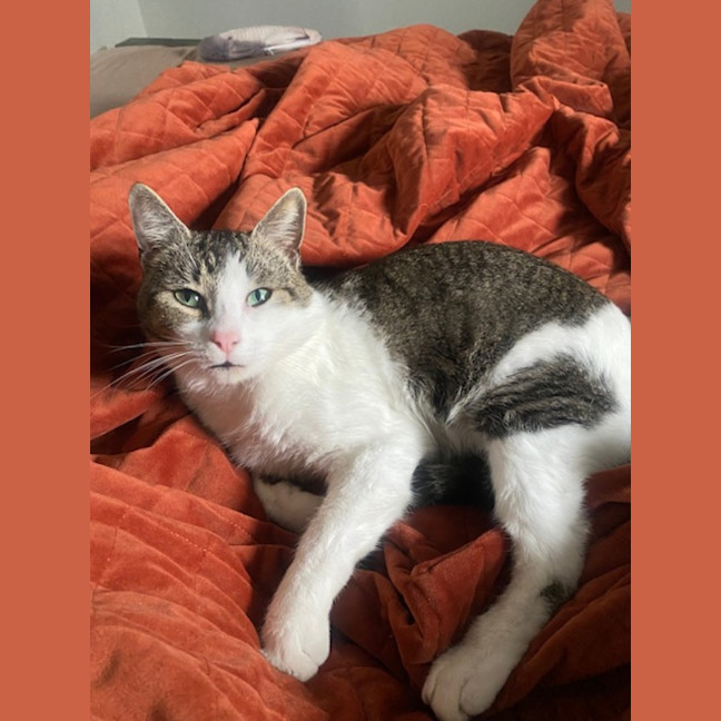 Photo of Ranger