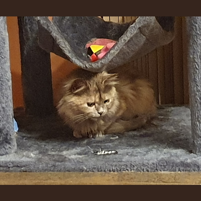Photo of Bubbles