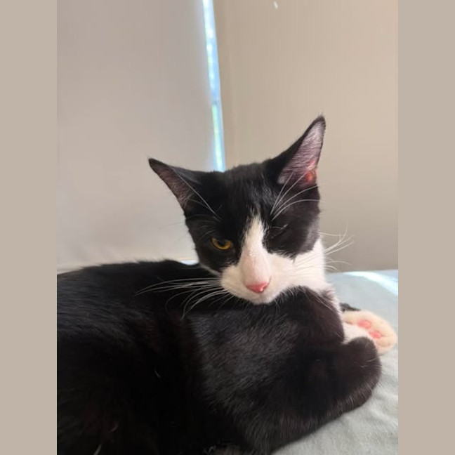 Photo of Button