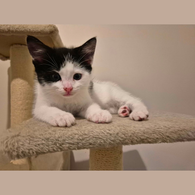 Photo of Roger Meet Me@Petstock Carrum Downs Store 