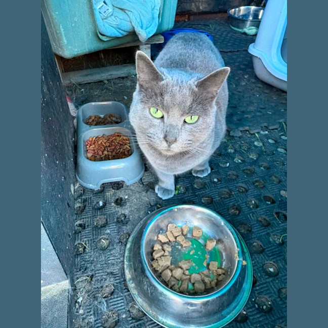 Photo of Maggie