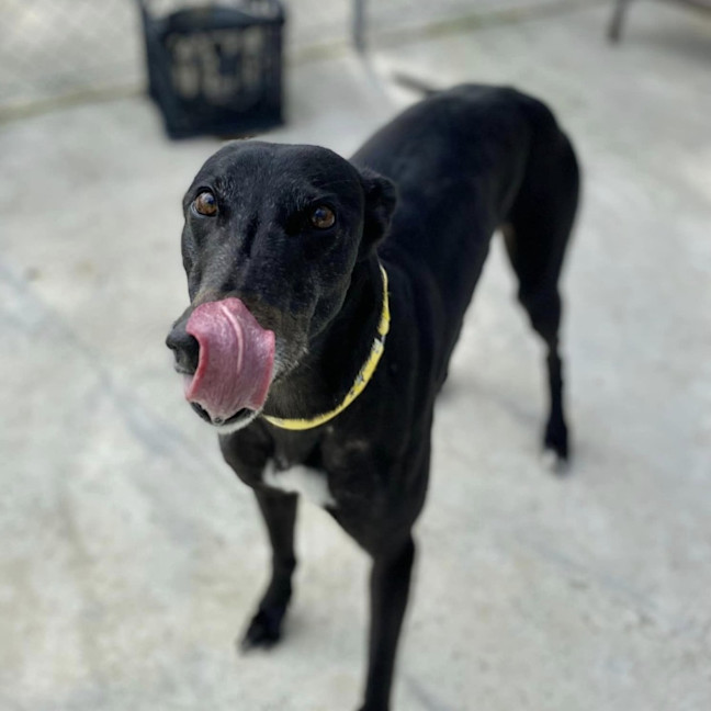 Photo of Ria (Prev. Fragaria)