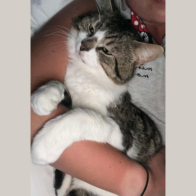 Photo of Lenny