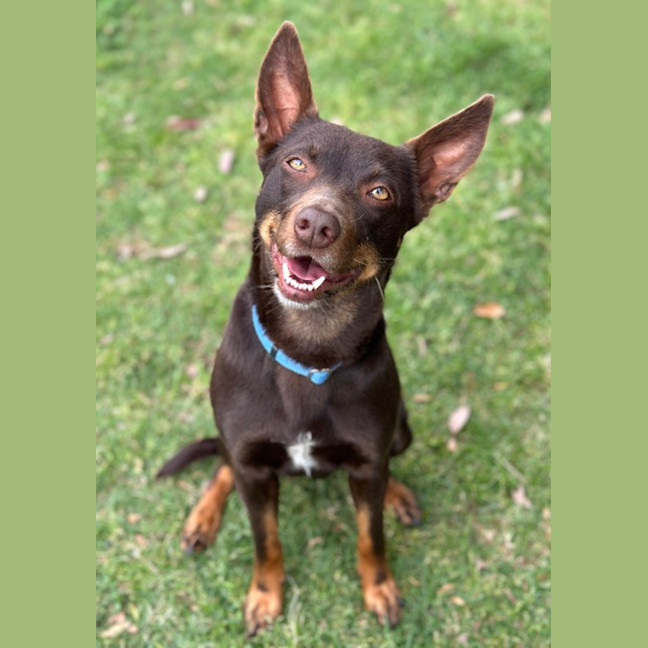 Photo of Billie Jean