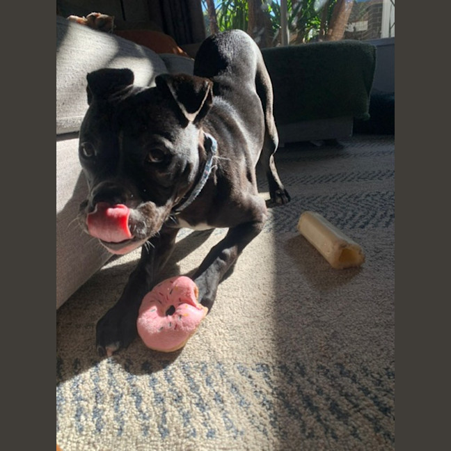 Photo of Harken