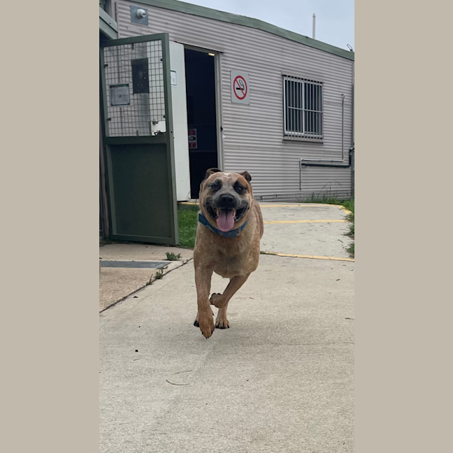 Photo of Max