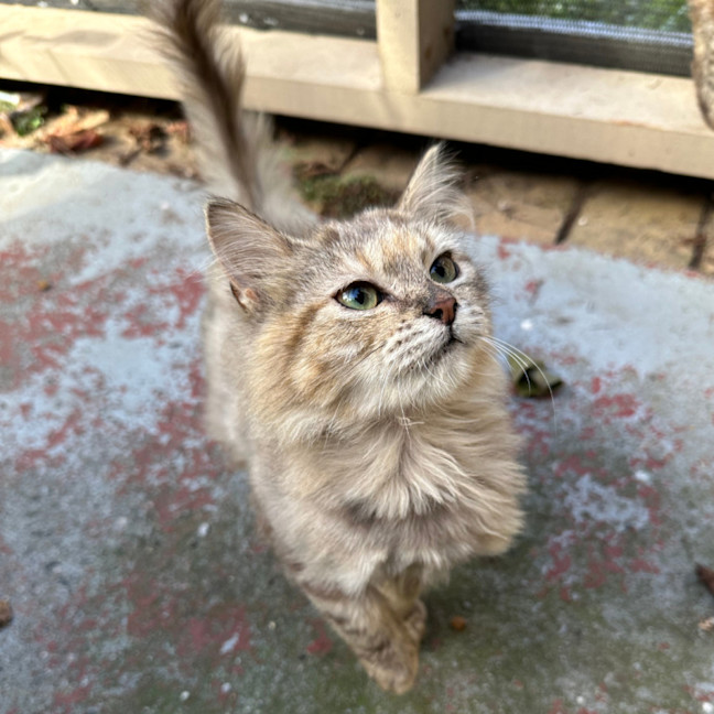 Photo of Sugar