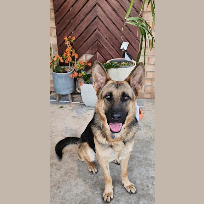 Photo of Shilo