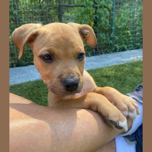 Photo of D1197 William