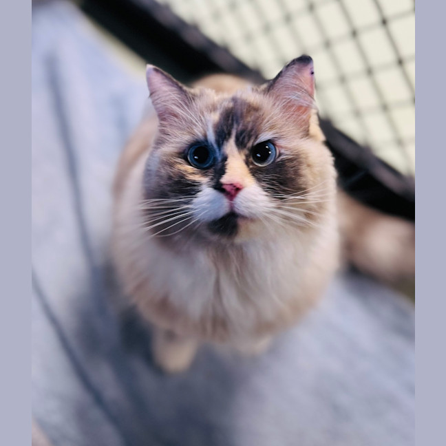 Photo of Zima