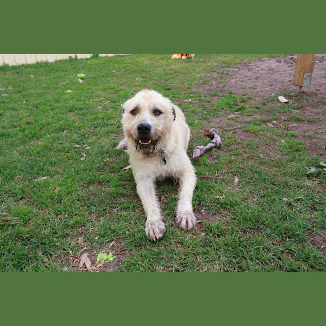 Photo of Marlo