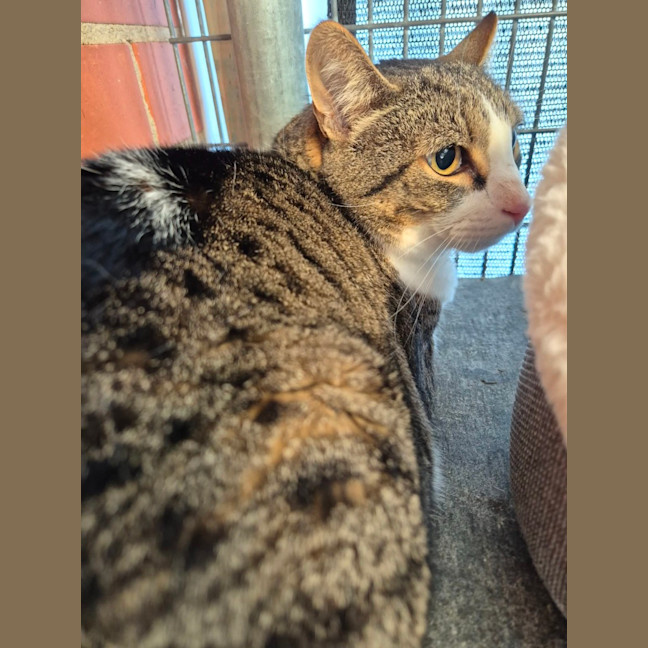 Photo of Mr Roy! 🎩