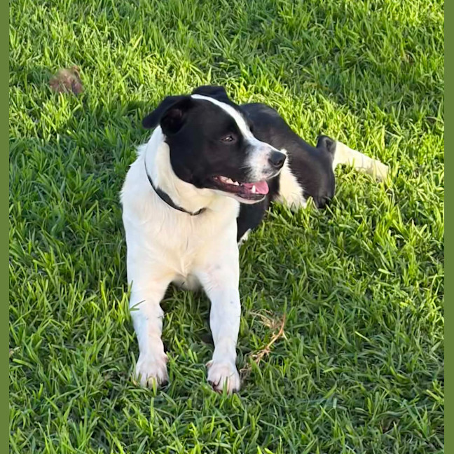 Photo of Tux