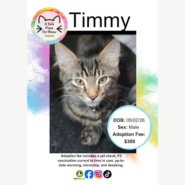 Photo of Timmy