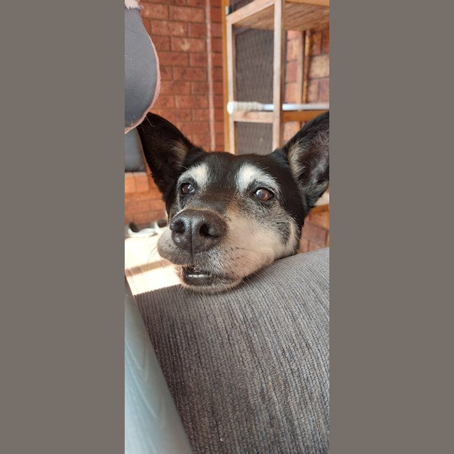 Photo of Walter