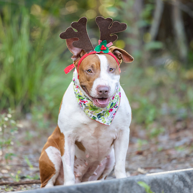 Photo of Rockin' Roxy