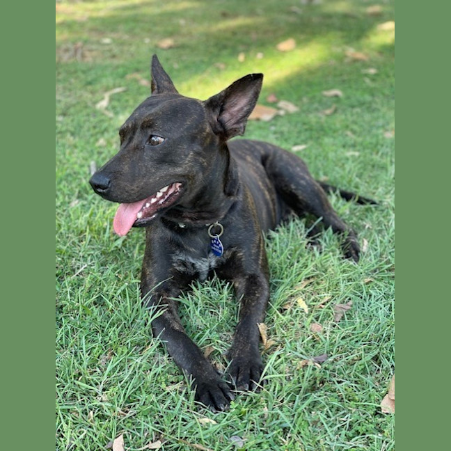 Photo of Romeo