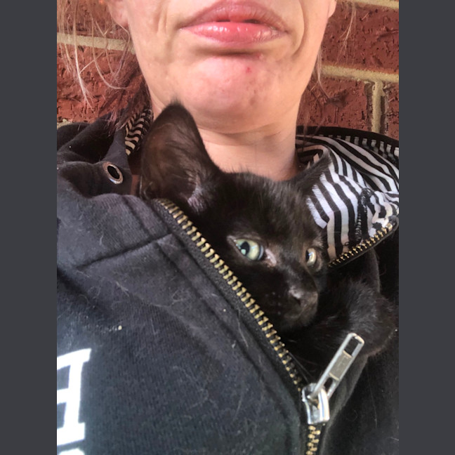 Photo of Prada & Vadar