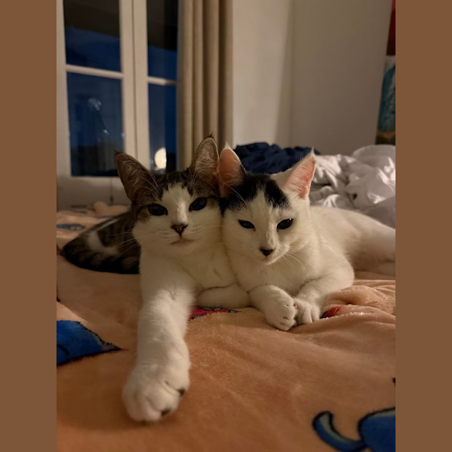 Photo of Penny & Essie 