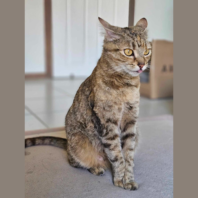 Photo of Willow