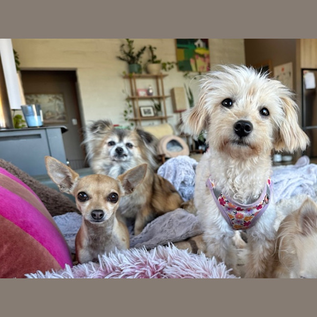 Photo of Teacup