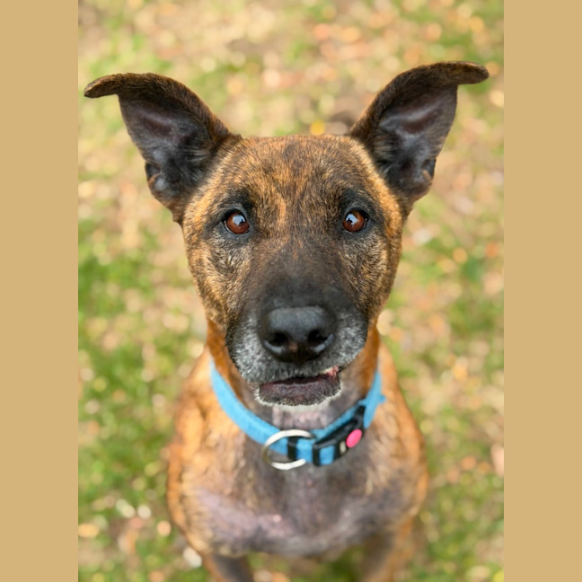 Photo of Agnes