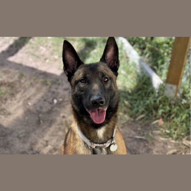 Photo of Remington