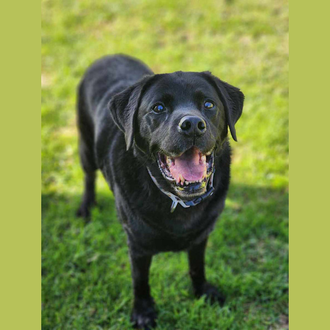 Photo of 🧀 Hugo 6240 🧀