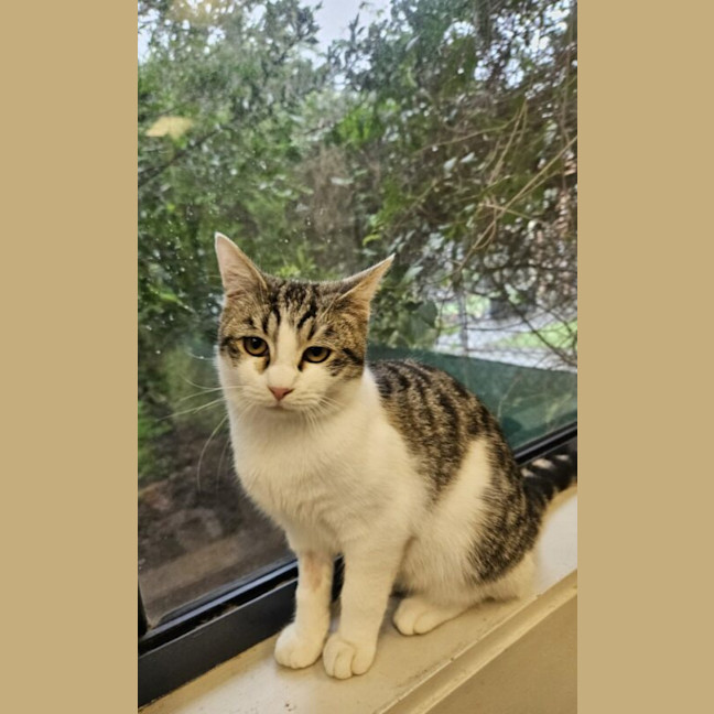 Photo of Ernie