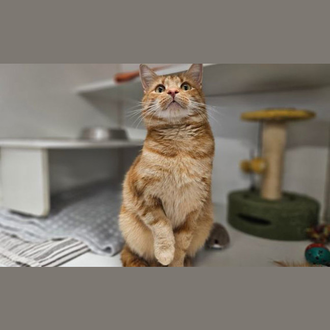 Photo of Bingo