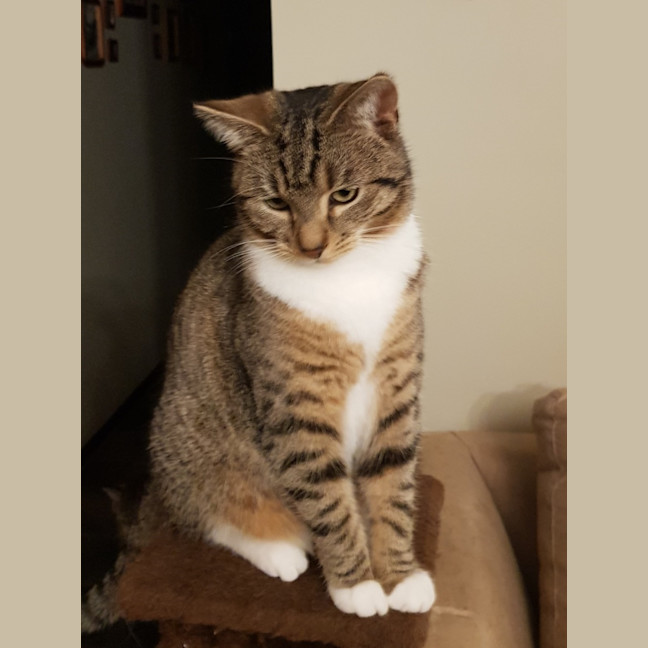 Photo of Luna