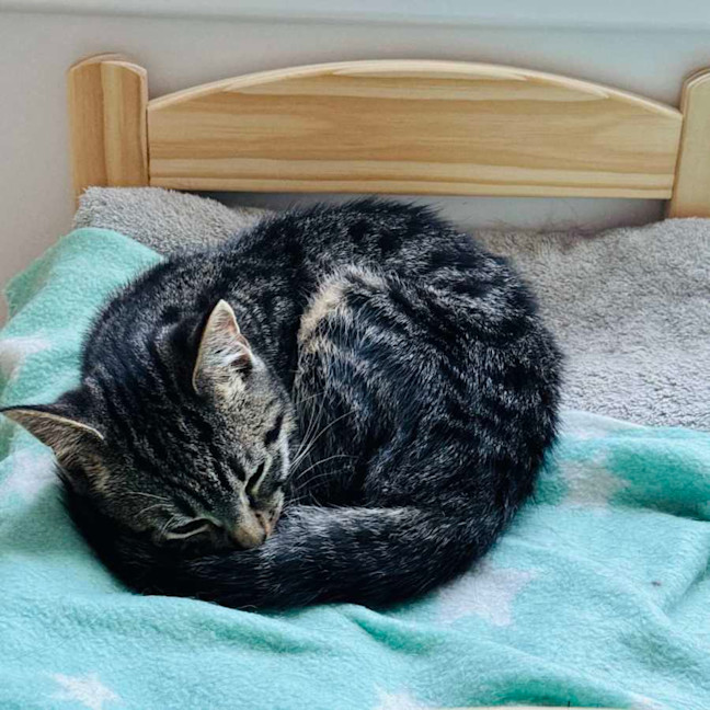 Photo of Beans   Located In Northcote