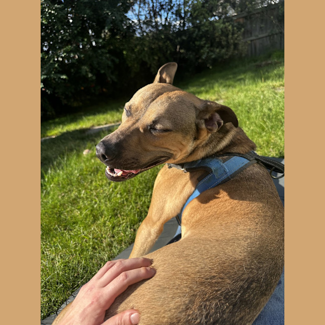 Photo of Bruce