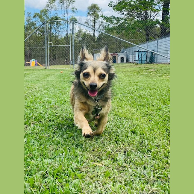 Photo of Lola