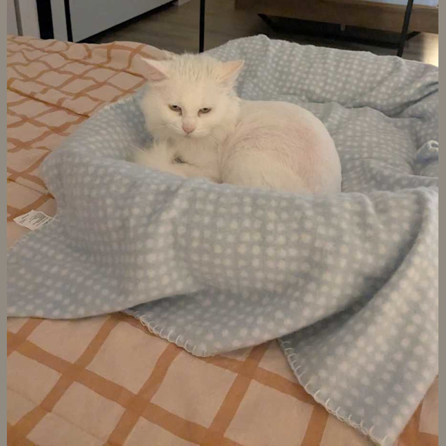 Photo of Princess