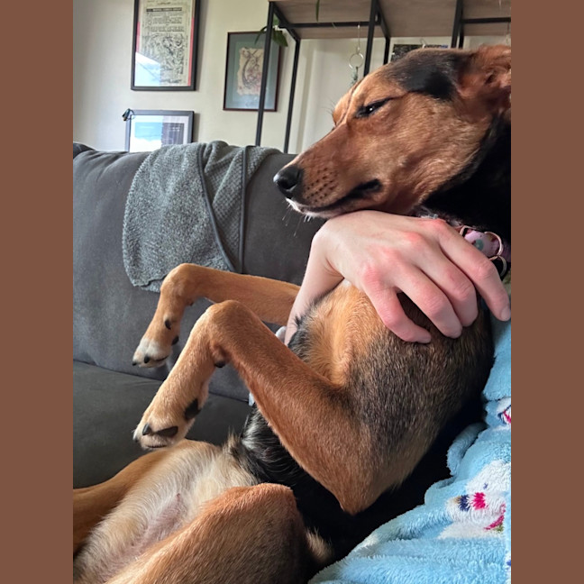 Photo of Jazz