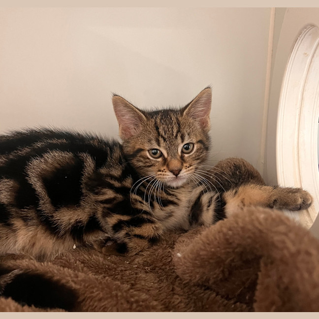 Photo of Toots