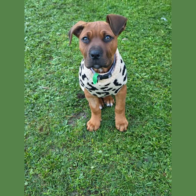 Photo of Storm