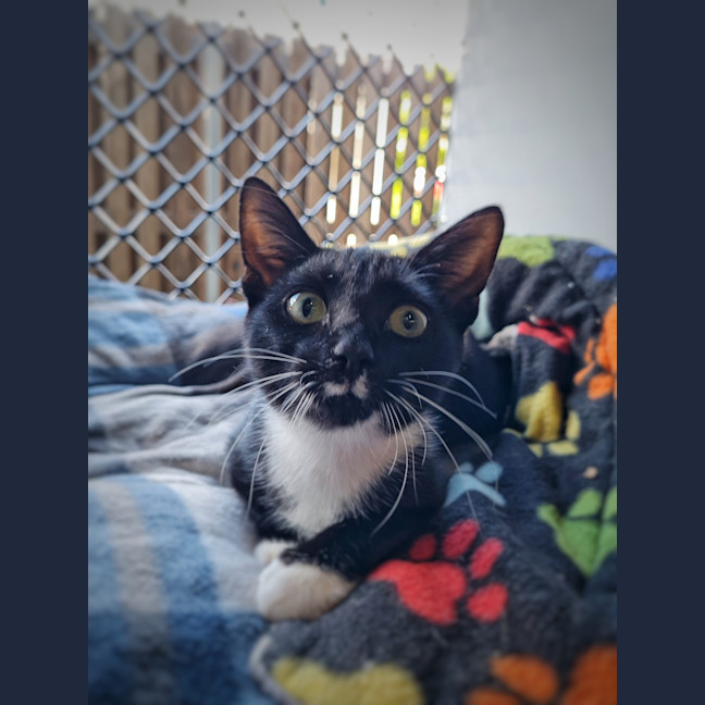 Photo of Abigail