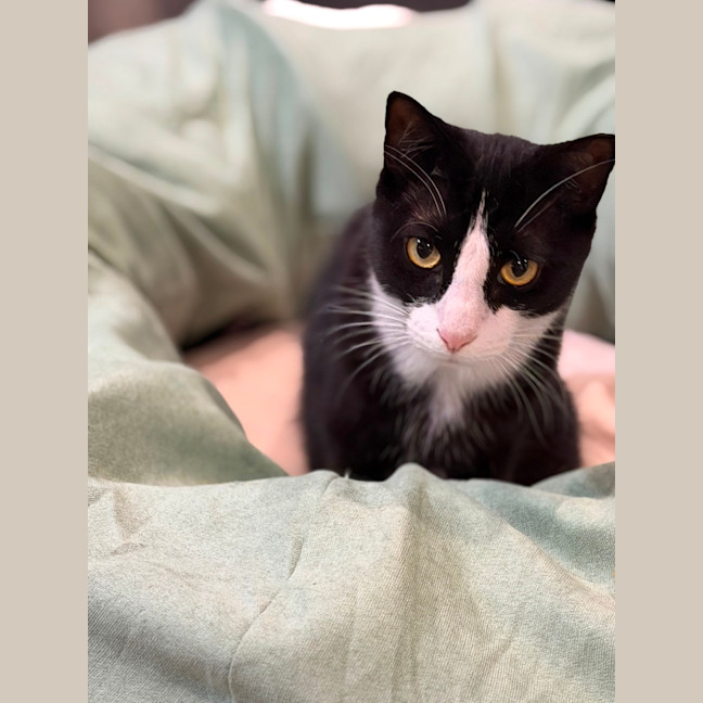 Photo of Fifi