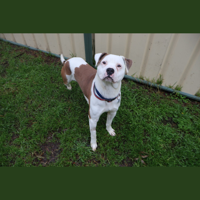Photo of Flynn