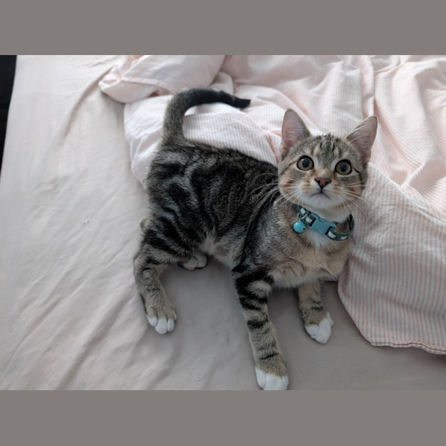 Photo of Gary