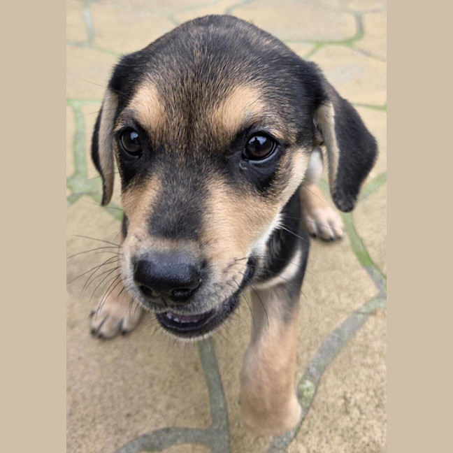 Photo of Freya