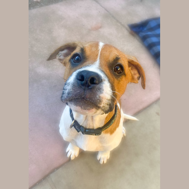 Photo of Freyja
