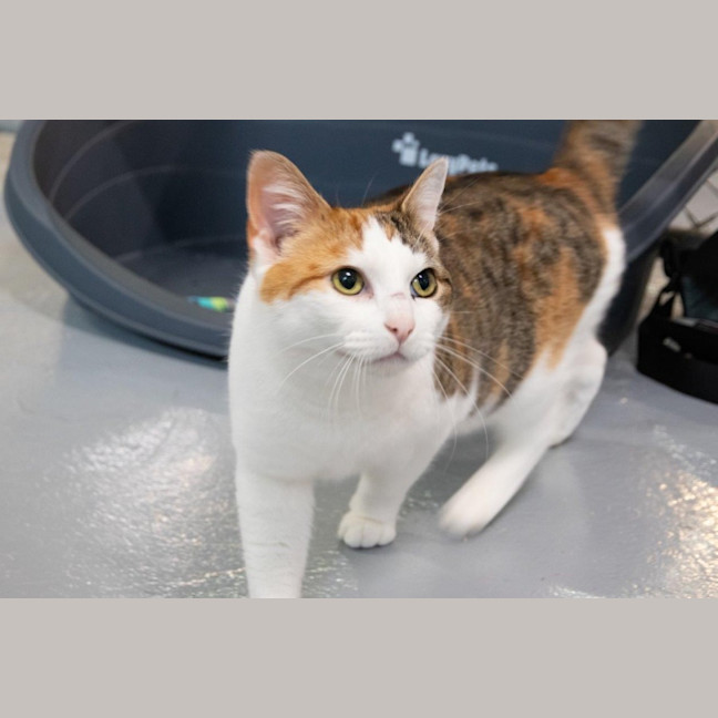 Photo of Hazel Moriarty