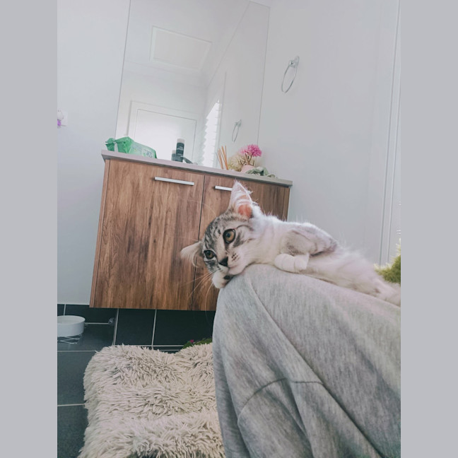 Photo of Judy Garland