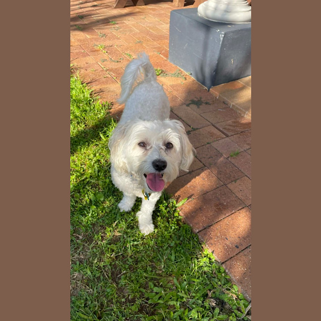 Photo of Pluto / Astro