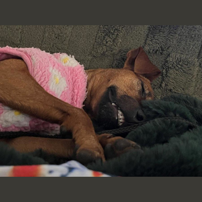 Photo of Missy Peggotty