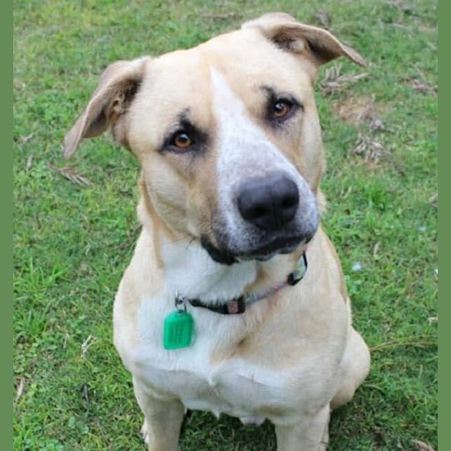 Photo of Barney